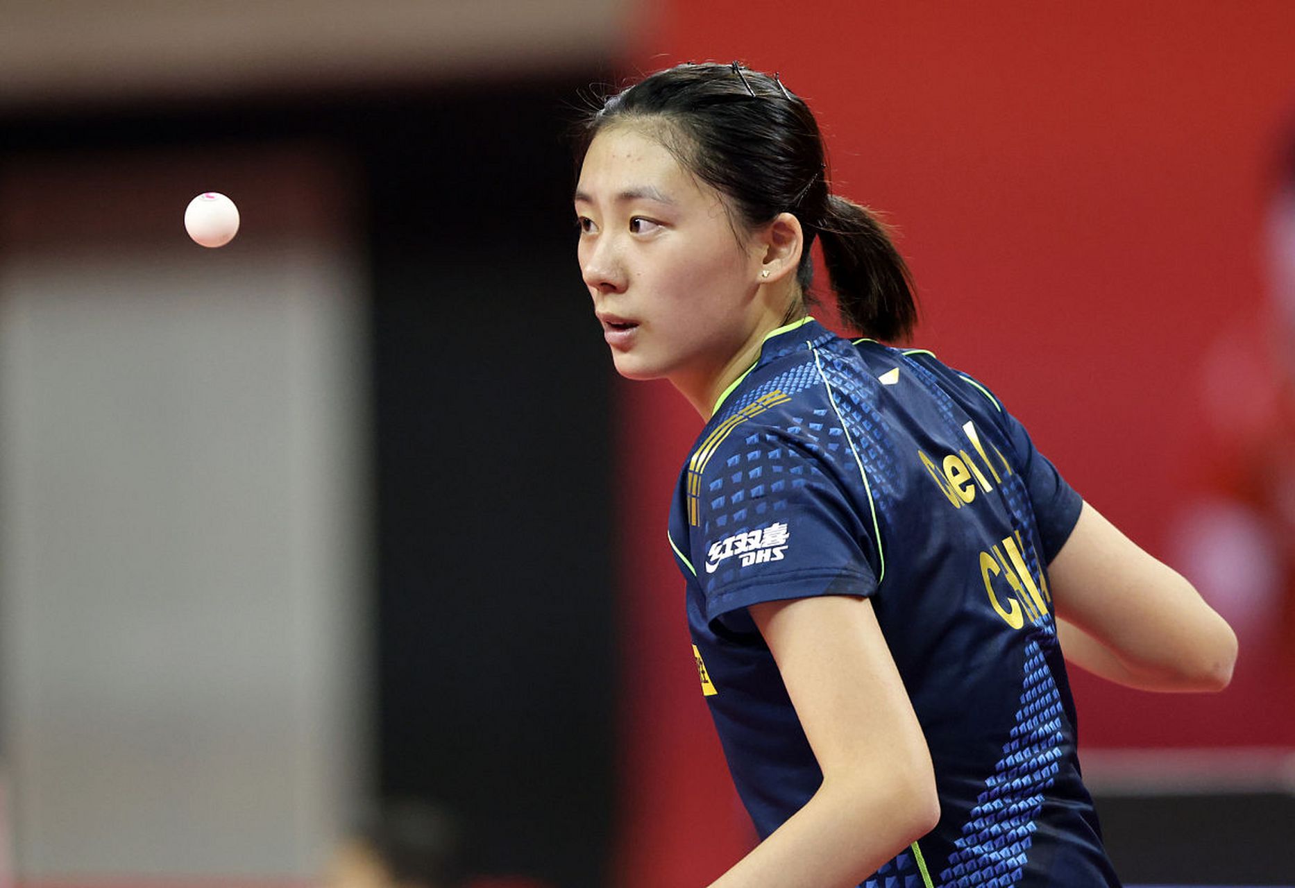 署了贊助合 署了贊助合