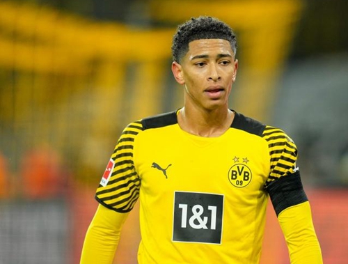 年轻球员奋 年轻球员奋