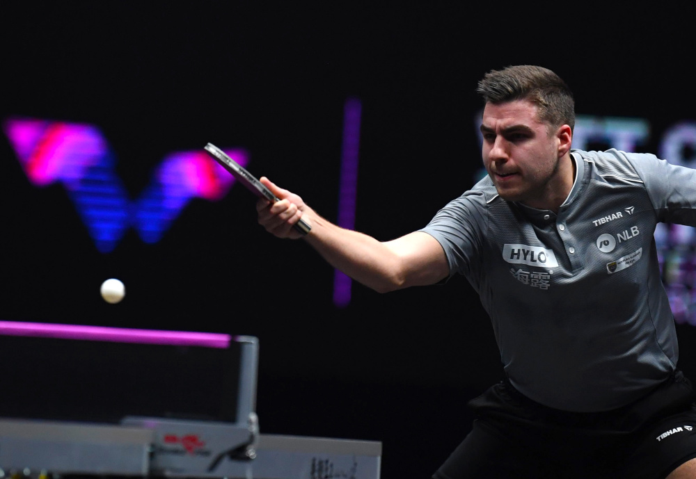 青岛队似乎 青岛队似乎