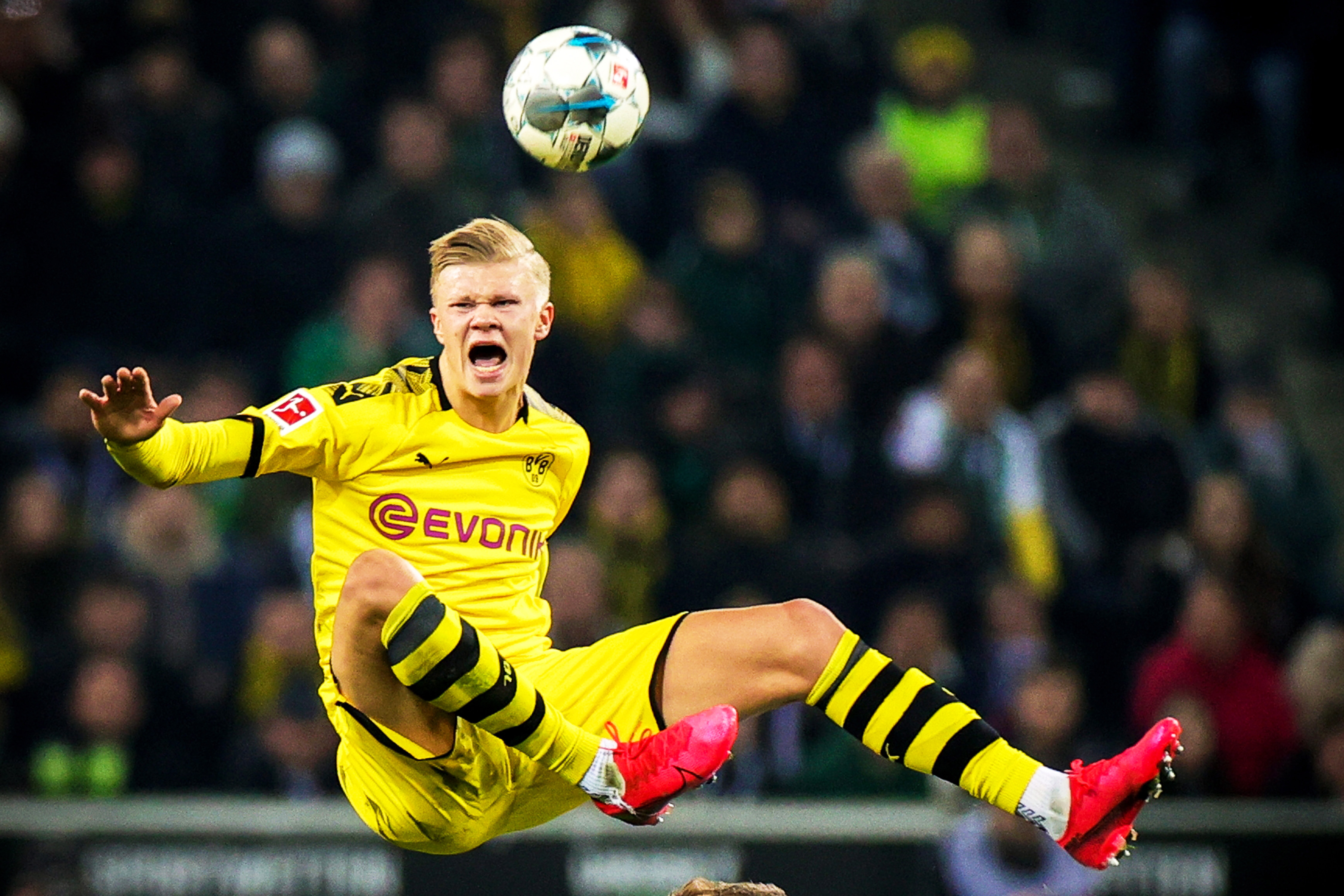 情绪驱动 情绪驱动