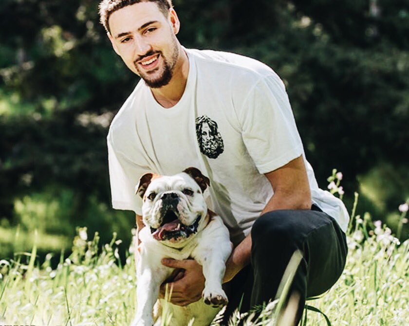 与对位引导 与对位引导