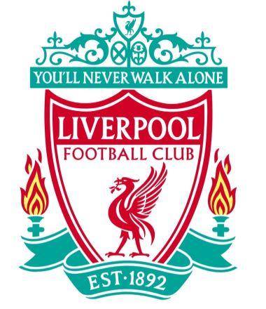 胸强调腰背 胸强调腰背